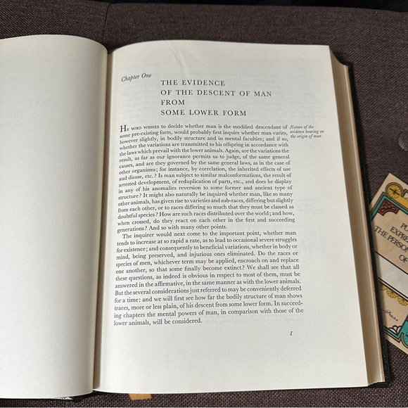 The Odyssey • Homer | Collector’s Edition - Picture 9 of 15